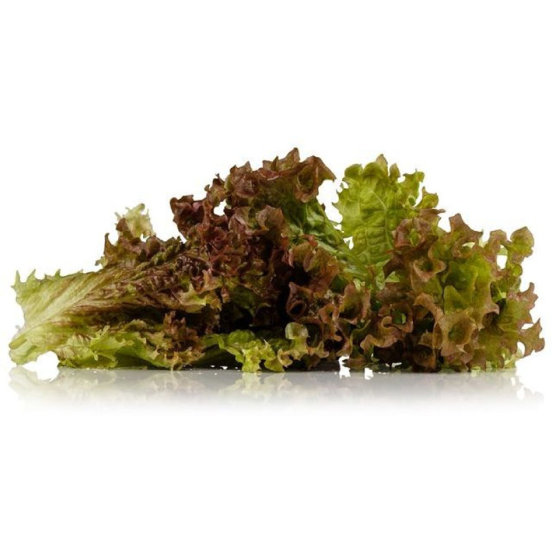 LOLLO-ROSSO COUPE ALLGRO 500G